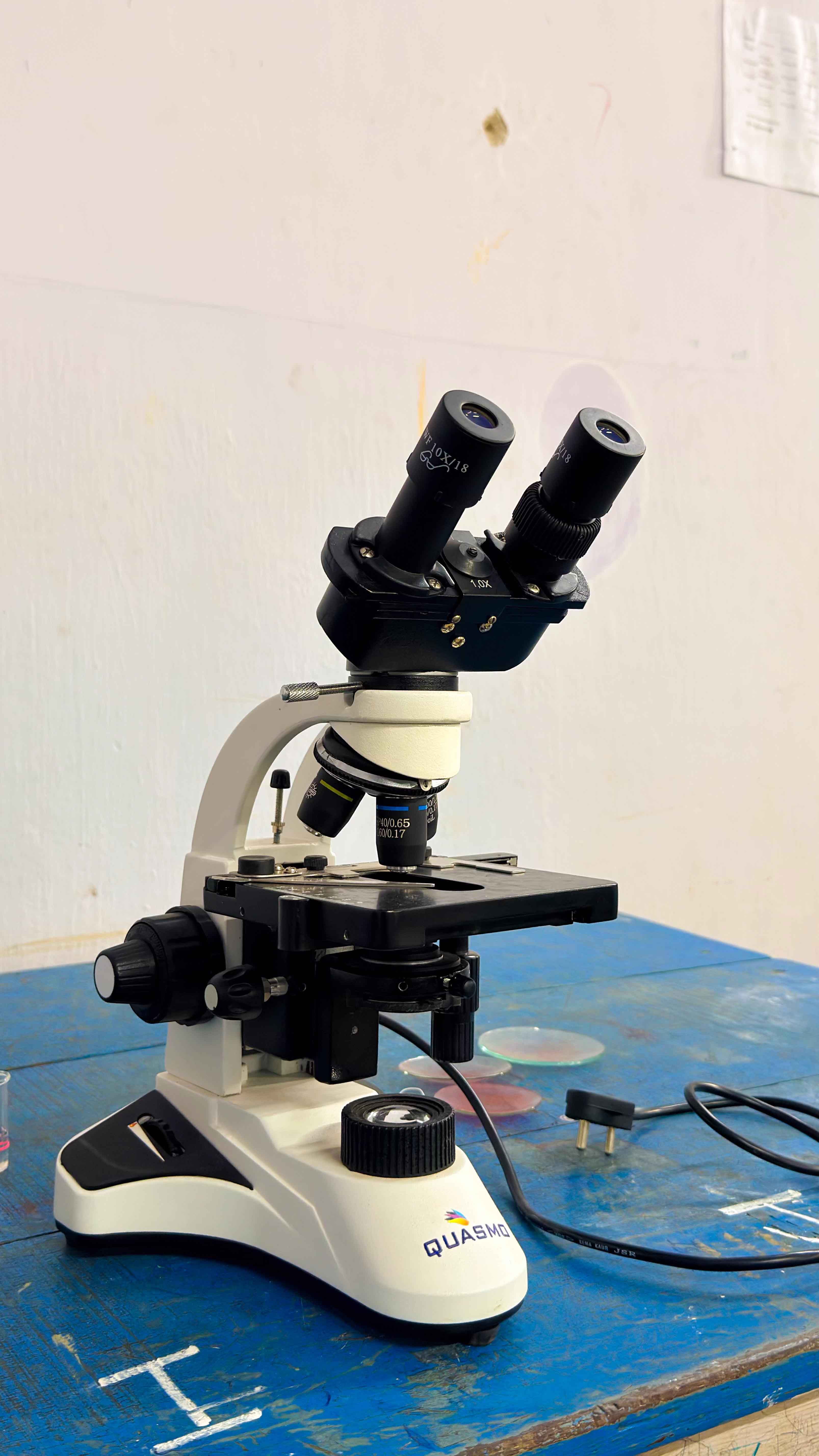 Botany lab 6