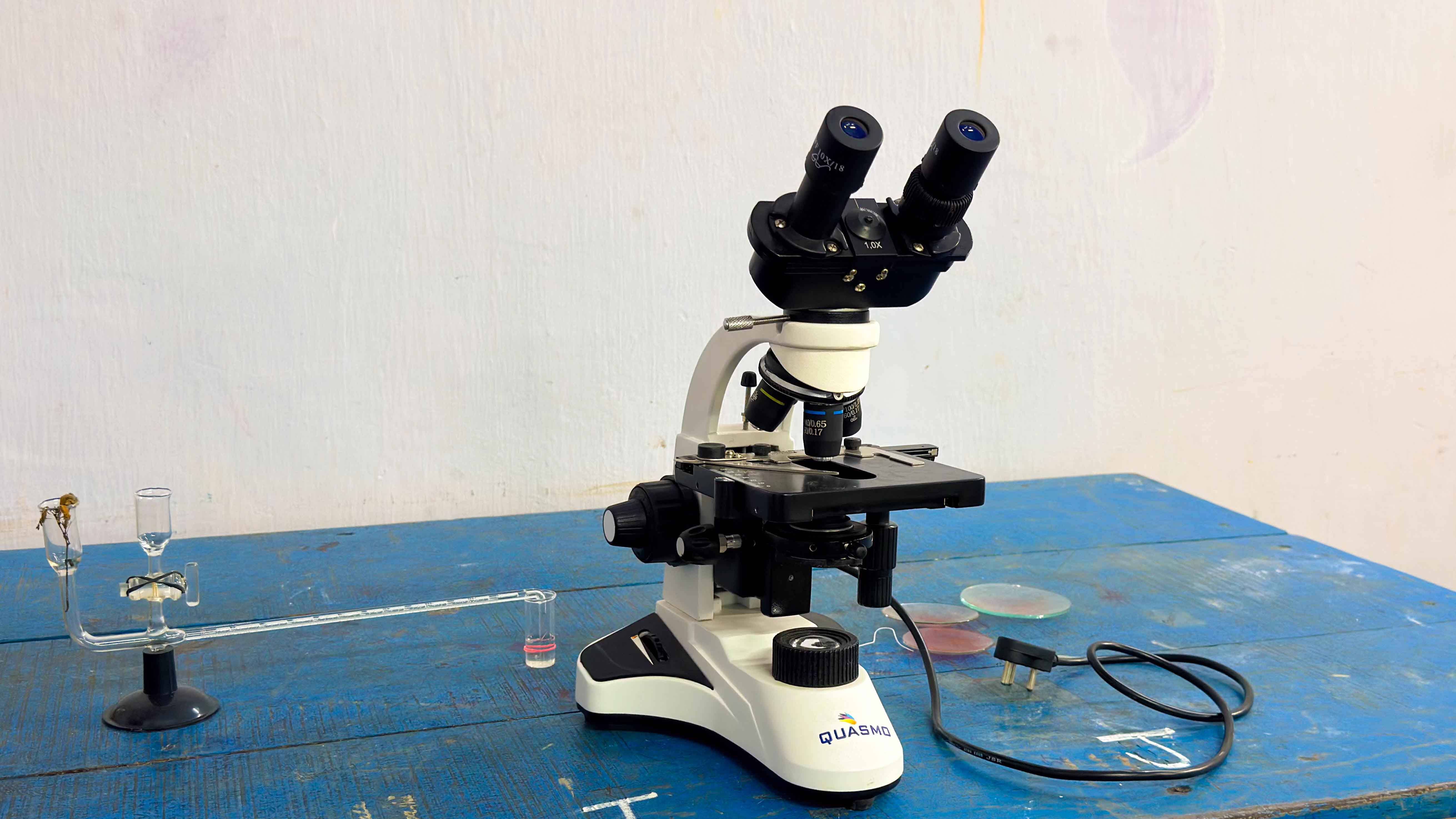 Botany lab 7