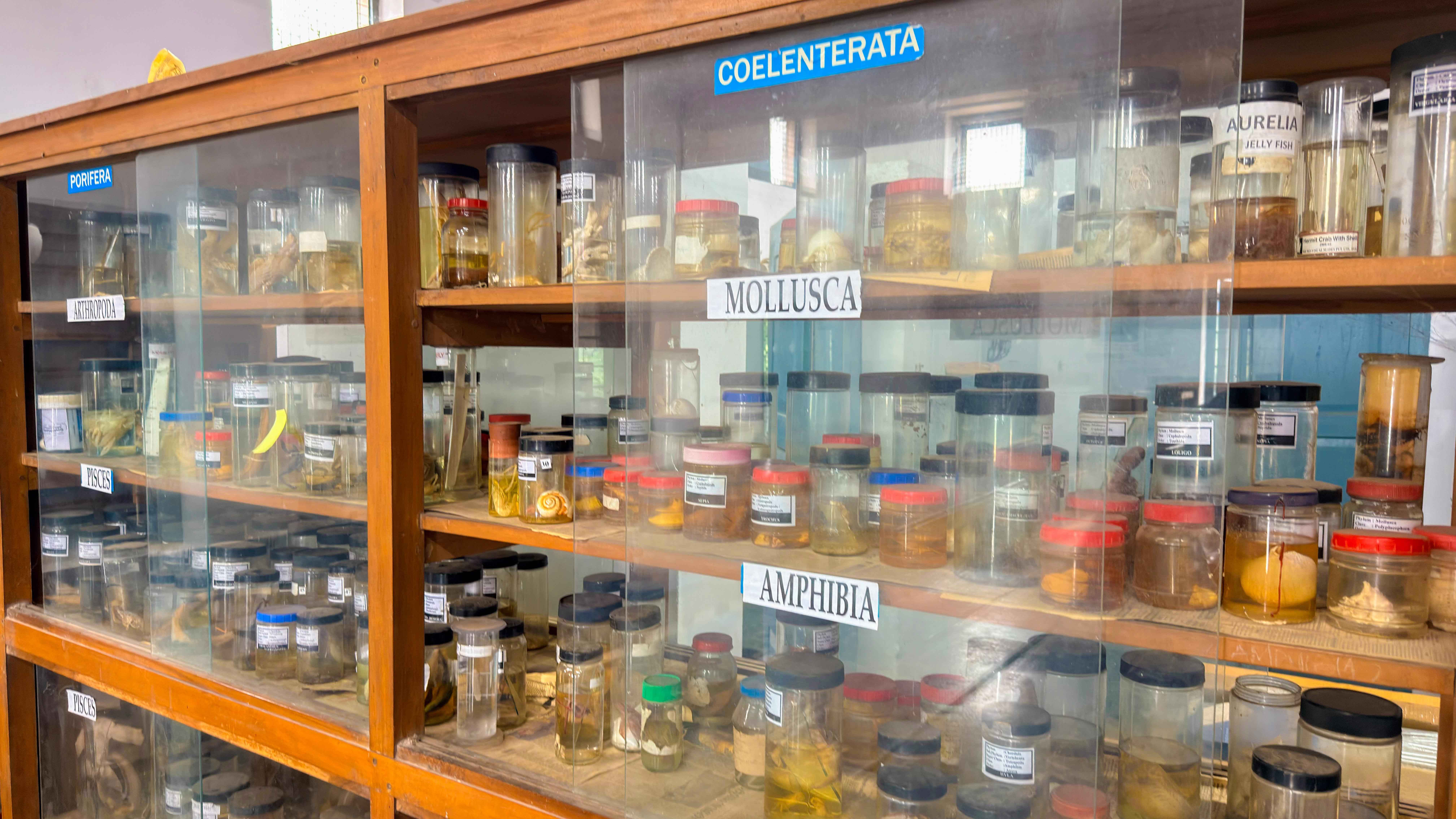Zoology Lab 6